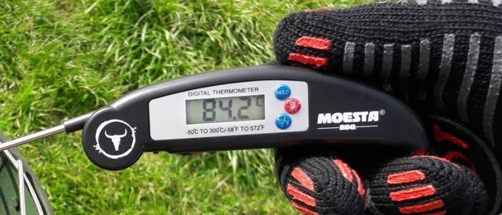 Moesta Grillthermometer im Test