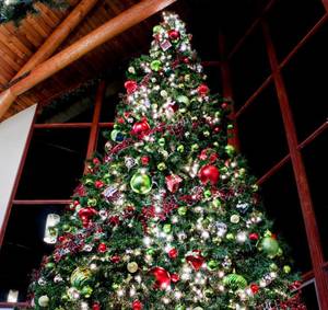 großer Weihnachtsbaum