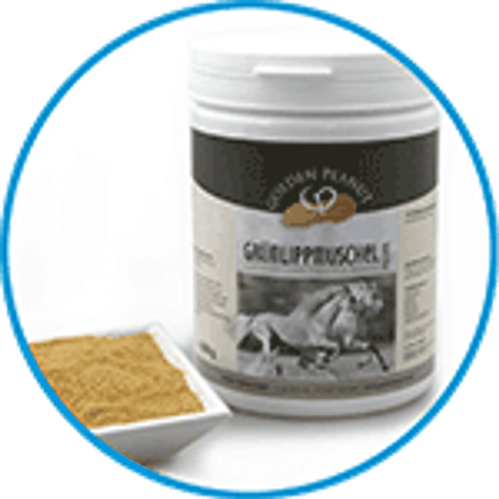 Grünlippmuschelpulver Pferd