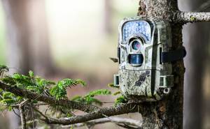 Eine GSM-Wildkamera in Tarnfarben hängt an einem Baum.