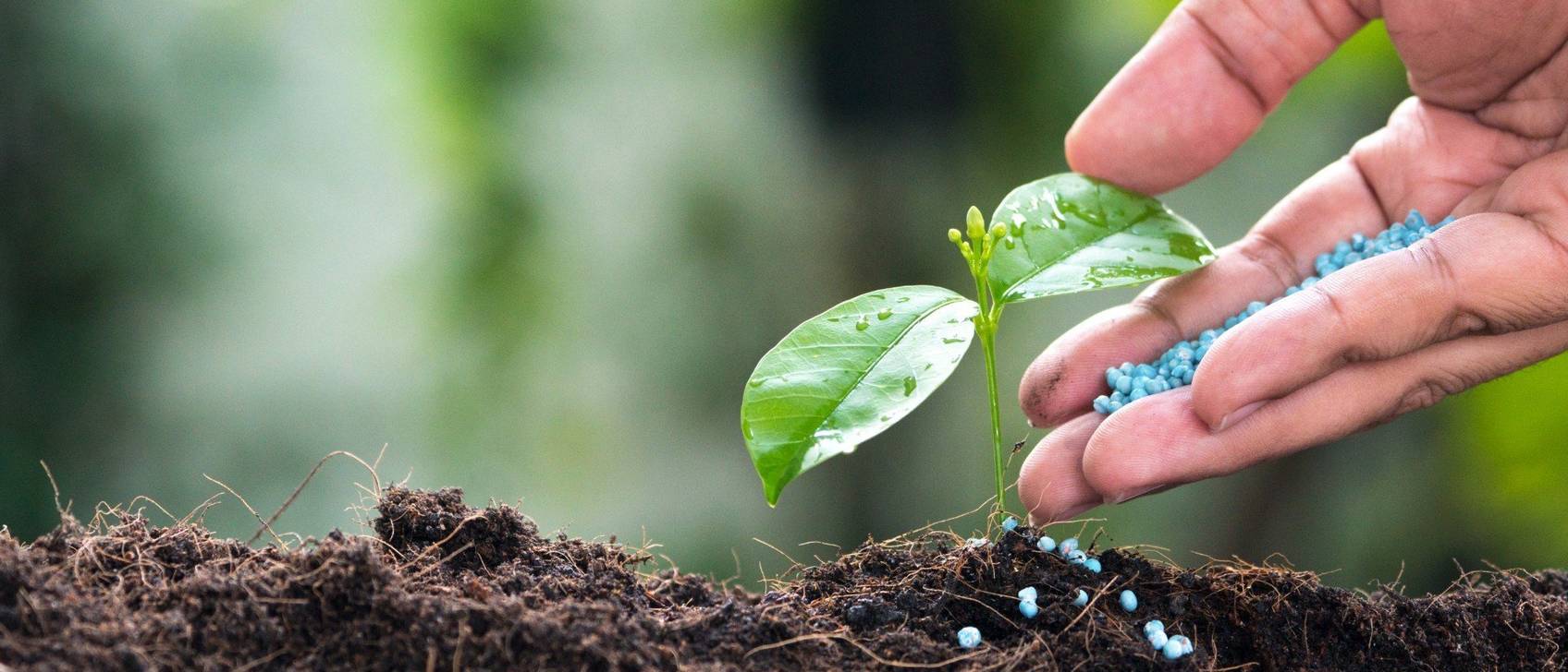 GuanoDünger Test & Vergleich » Top 10 im Mai 2025