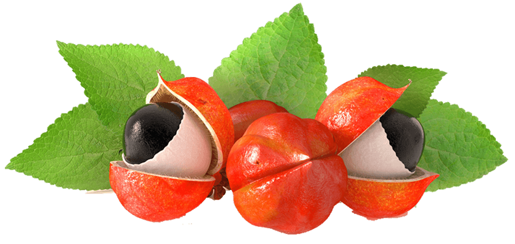 guarana