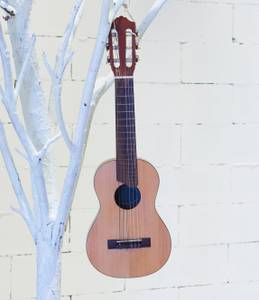 Guitarlele Test