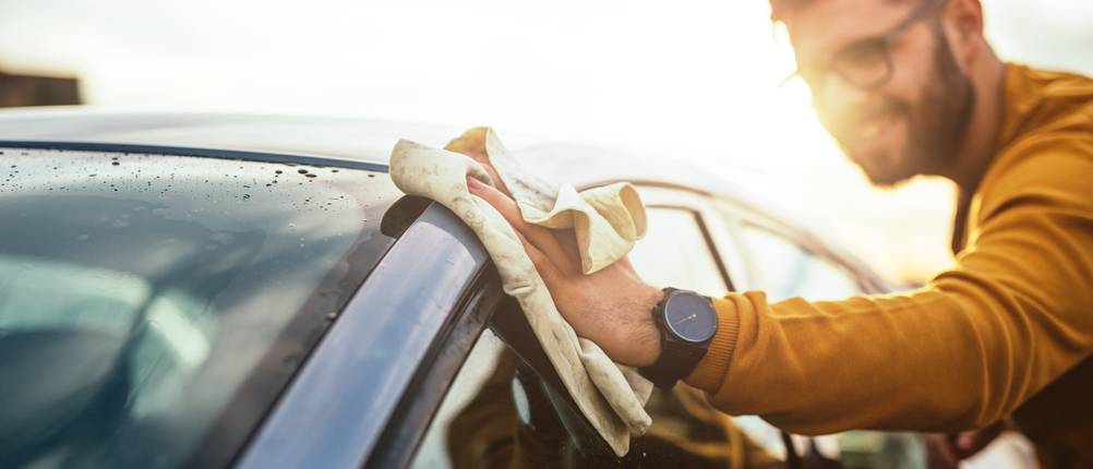 gummipflege auto sonax