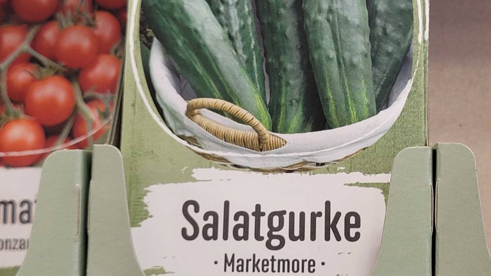 Gurken-Samen-Test: Nahaufnahme der Vorderseite der Verpackung mit Artikelbezeichnung.