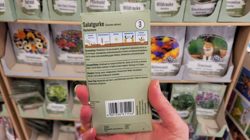 Die Rückseite der getesteten Gurken-Samen von einer Hand gehalten.