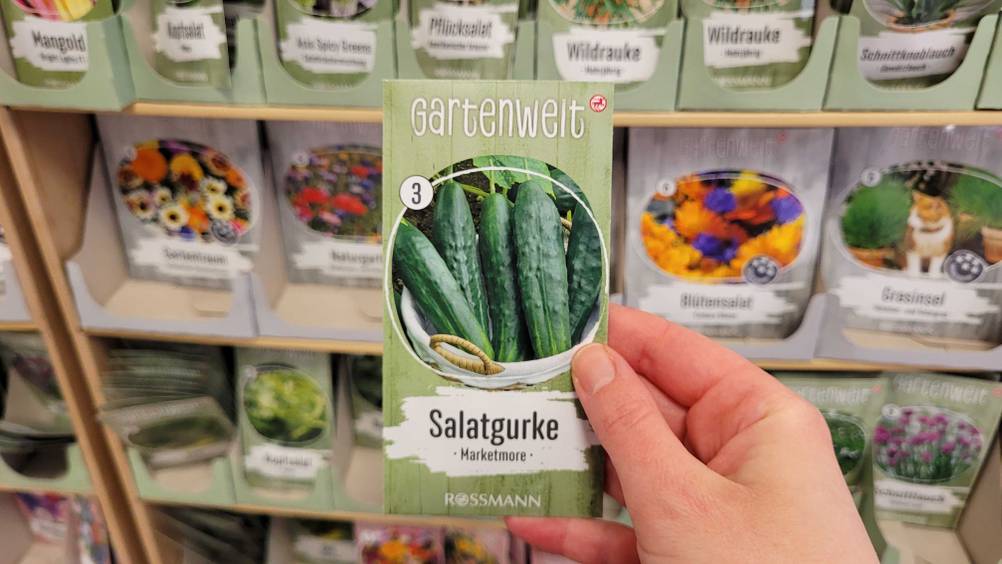 Eine Hand hält die Gurken-Samen im Test vor ein Regal.