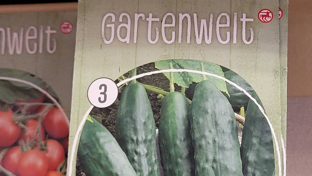 Gurken-Samen getestet: Nahaufnahme der Verpackung mit Logo.