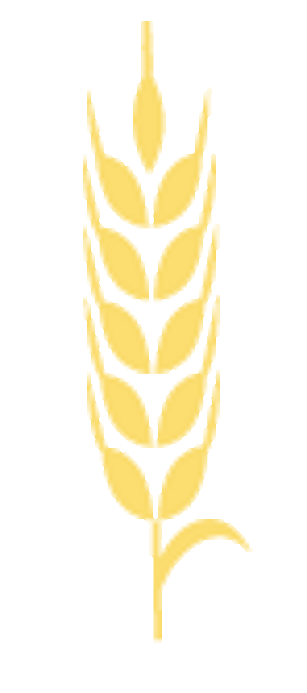 haferflocken-hafer-icon2