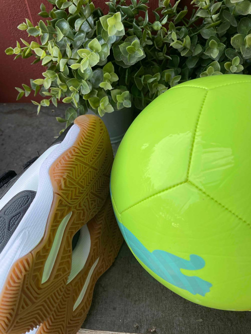 Ein getesteter Hallenfußballschuh auf der Seite liegend neben einem Fussball vor einer Pflanze.