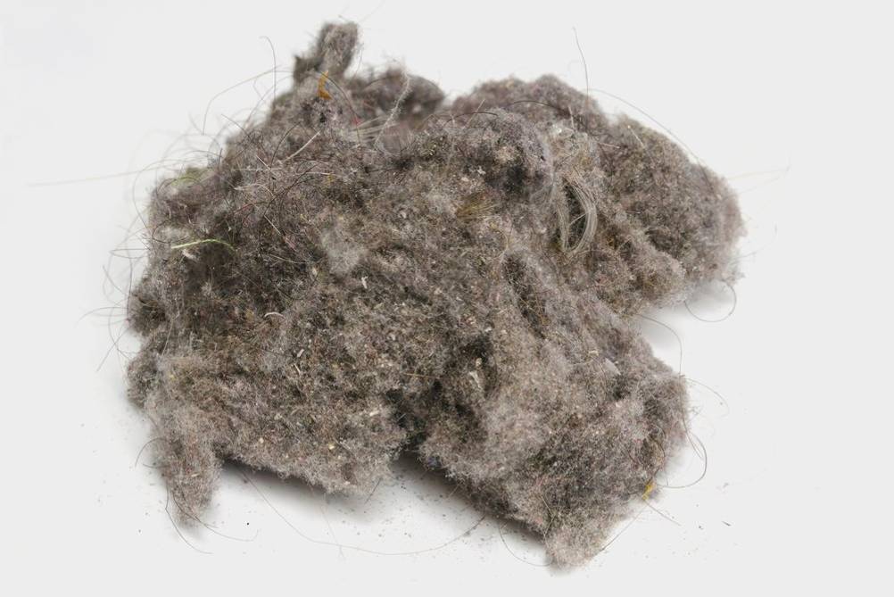 Handnähmaschine-Test: Staub und weiterter Schmutz in Nahaufnahme.