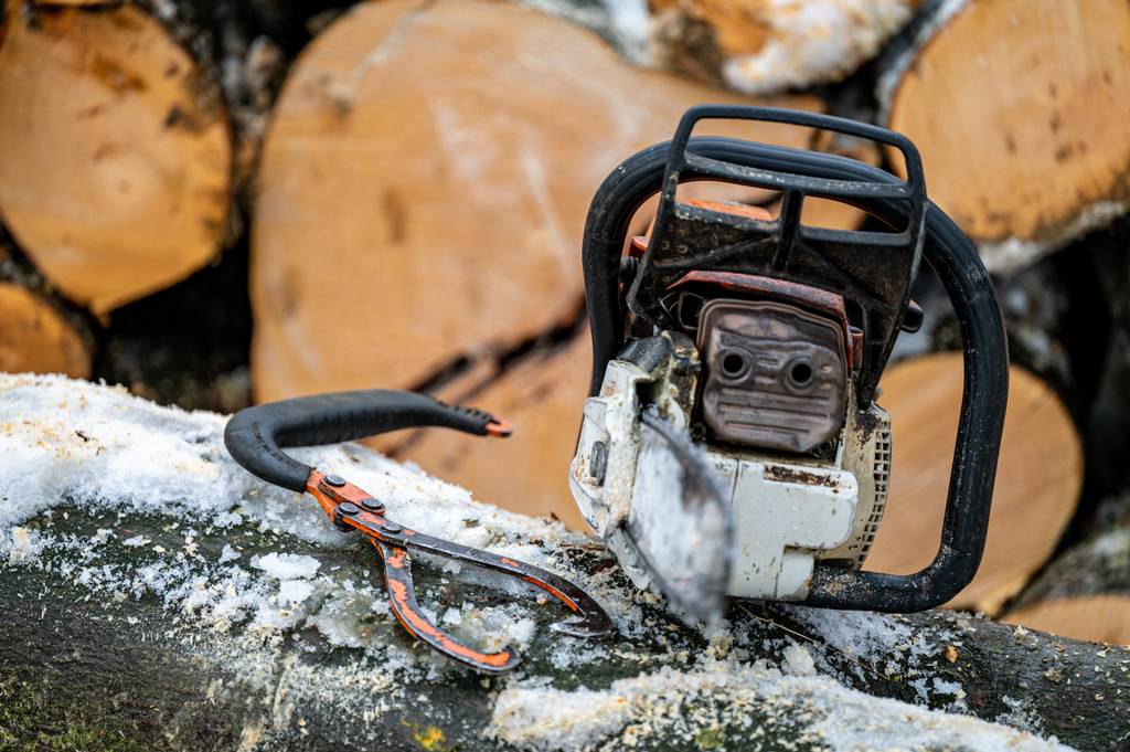 Handpackzange im Test: Eine Kettensäge und eine Handpackzange liegen auf einem Stamm – im Hintergrund weitere Stämme.