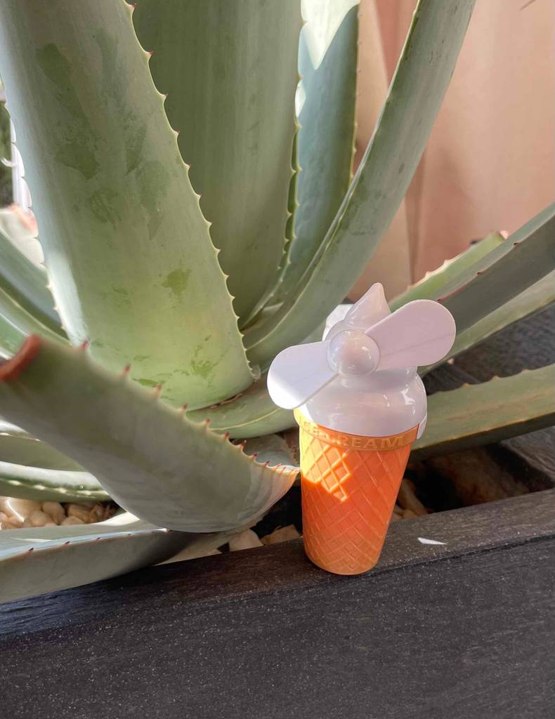 Ein getesteter Handventilator als Eishörnchen steht auf der Terrasse vor einer Agave.