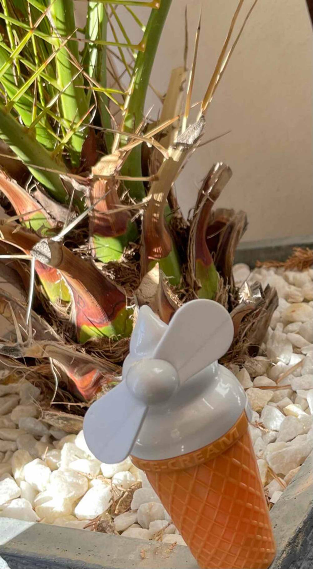 Ein Eishörnchen-Handventilator im Test steht auf einem Terrassen-Kübel inklusive Palme.