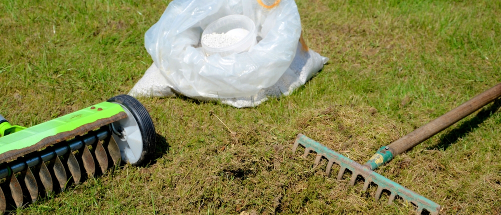 Handvertikutierer liegen auf vertikutiertem Rasen.