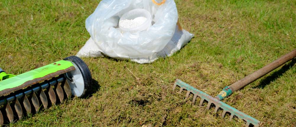 Handvertikutierer liegen auf vertikutiertem Rasen.