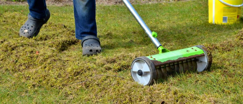 Vertikutierer mit Rollen wird über einen Rasen geschoben.