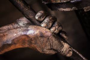 handwaschpaste fettloeser