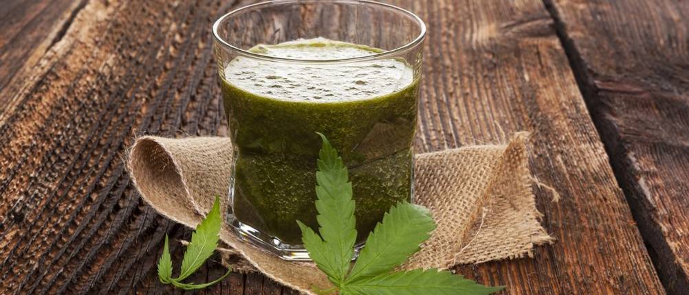 Smoothie aus Hanfproteinpulver