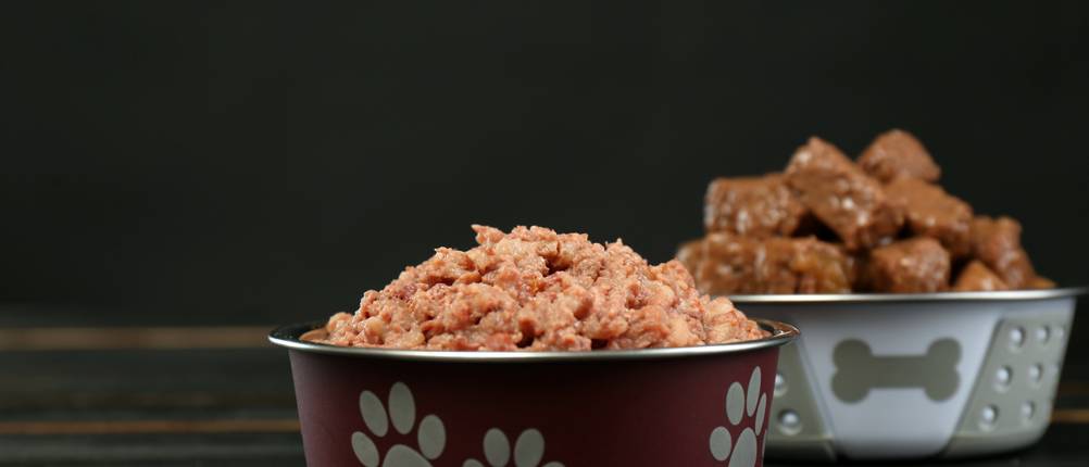 Happy-Dog-Nassfutter-Test