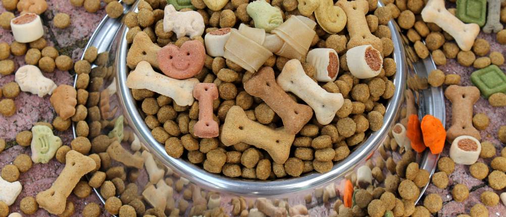 Happy Dog-Trockenfutter-Test
