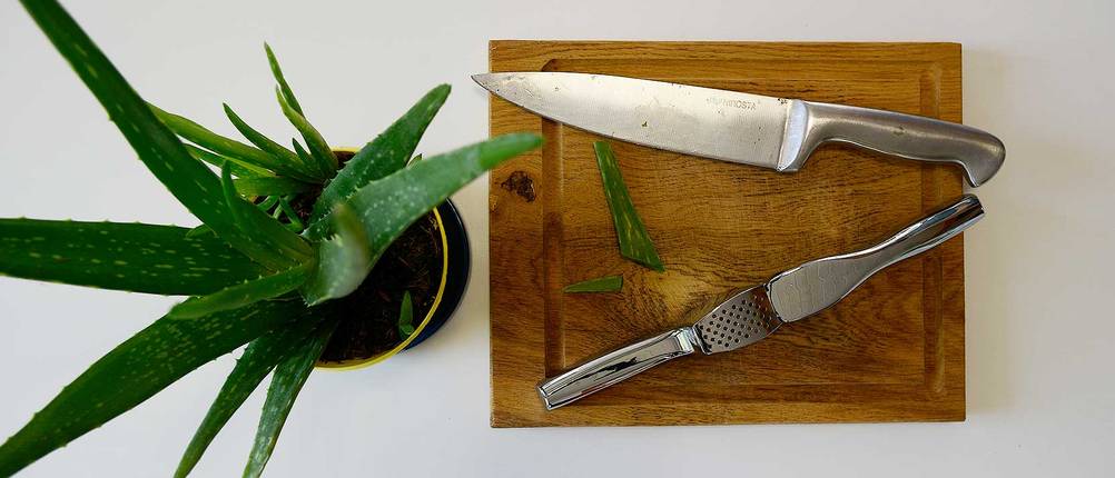 hausmittel-gegen-mandelentzuendung-aloe