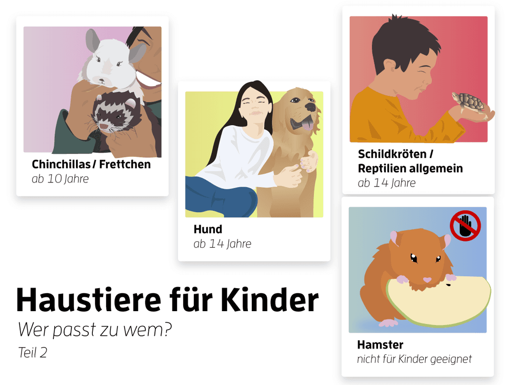 Haustiere Kinder 2