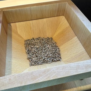 Getreide in der Hawos-Mühle 1