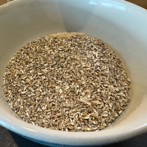 Grob gemahlenes Getreide in einer blauen Schale