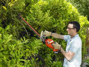 Teleskop-Heckenschere an einer grünen Hecke von einem Mann getestet.