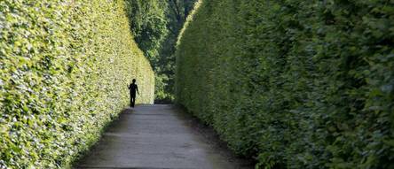 heckenschere-teleskop