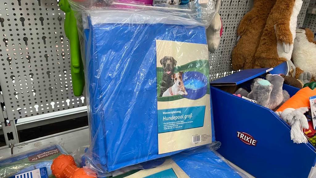 Großer Hundepool von Hellweg im Test: Pool hat die Farbe blau.