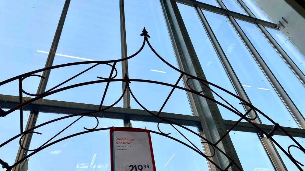 Im Test: Nahaufnahme der Spitze eines Rosenbogens mit Preisschild vor einer Fensterwand.