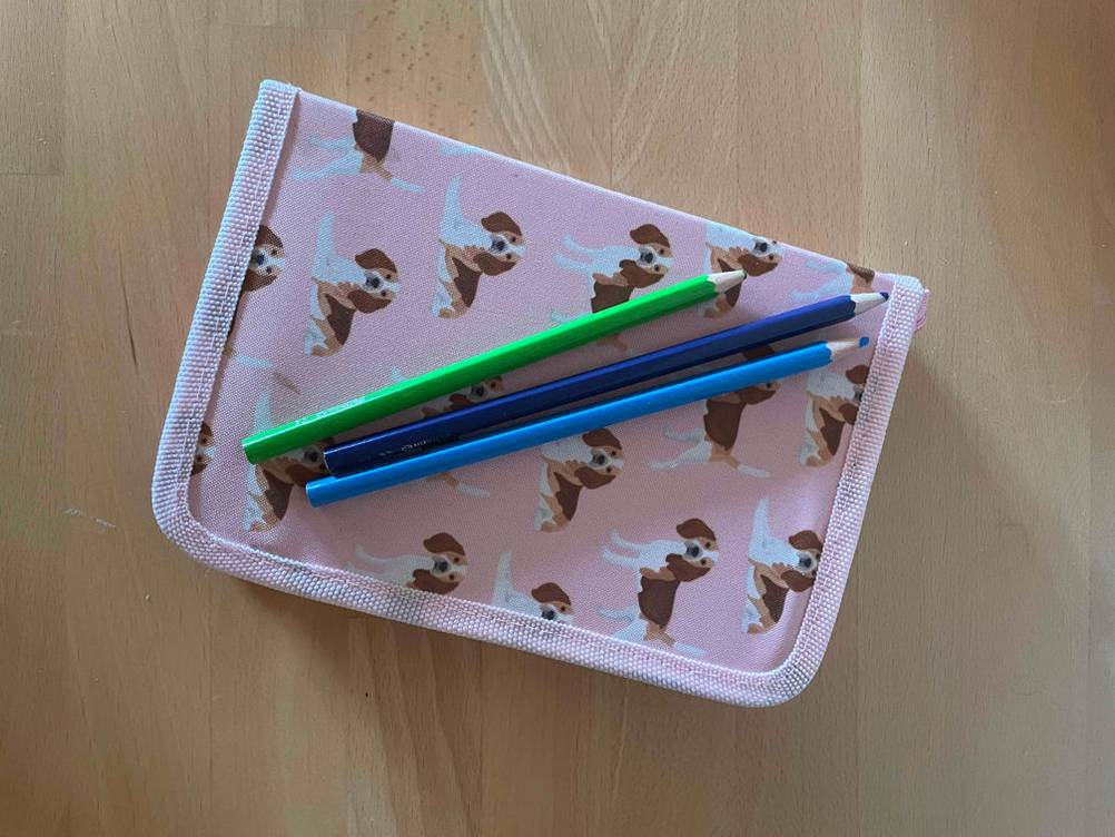 Geschlossene Federtasche von Herlitz mit zwei Buntstiften außerhalb.