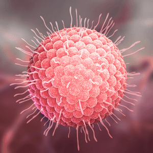 herpesvirus bekämpfen herpes mittel creme salbe gel