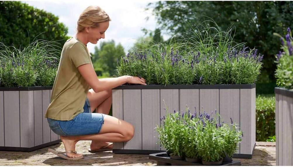 eine Frau pflanzt Blumen in ein Hochbeet