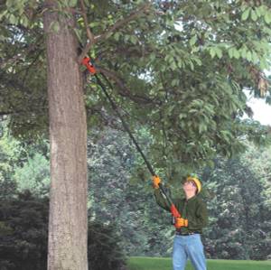 Akku-Hochentaster im Test. Ein Mann verwendet einen Akku-Hochentaster an einem Hochstamm.