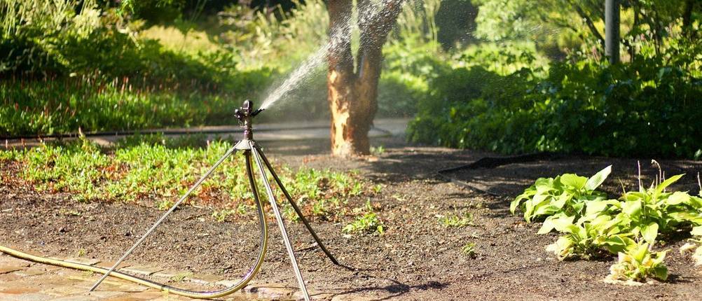 Hochregner bei der Arbeit in einem Garten