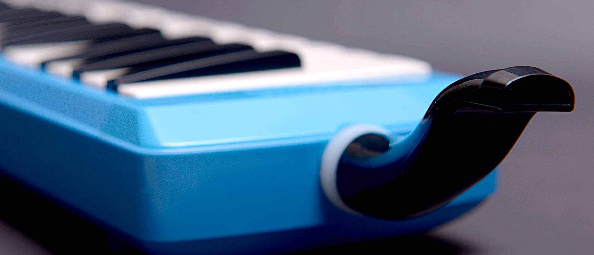 HohnerMelodica Test & Vergleich » Top 7 im September 2024