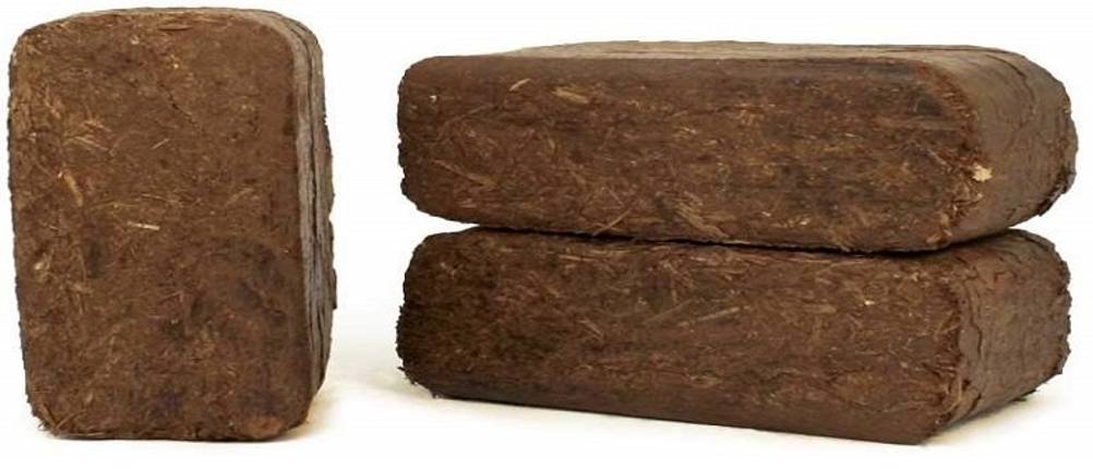 holzbriketts-preise