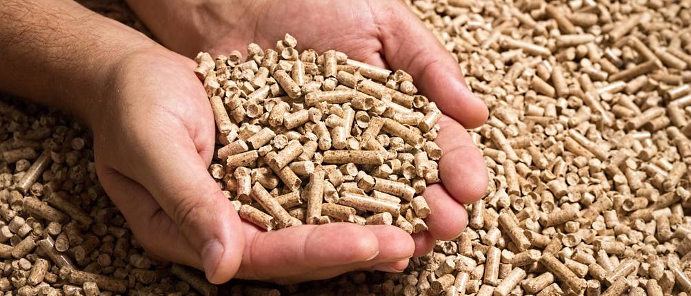 jemand schöpft Holzpellets aus einem Haufen