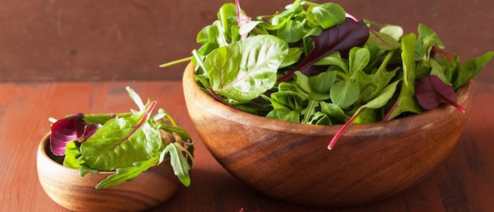 Holzschüssel mit Salat im Test: Eine große und eine kleine Holzschüssel sind mit verschiedenen Sorten von grünem Salat gefüllt.