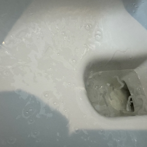 Die Toilettenschüssel ist mit dem Home Ecover 100446165 benetzt.