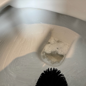 Eine schwarze Bürste reinigt die Toilette, in der sich der Home Ecover 100446165 befindet.