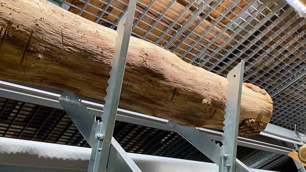 Nahaufnahme der Zähne des Sägebocks im Test mit einem Holzstamm darauf.
