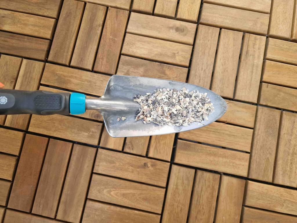Hornspäne im Test: Hornspäne liegen auf einer kleinen Schaufel.