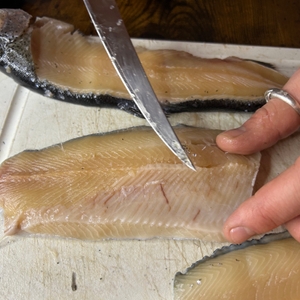 Filetiermesser-Test: Filetiermesserspitze an Fisch.