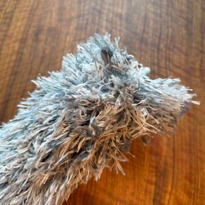 Staub hängt im Htly-SPR-Spinnwebenbesen.