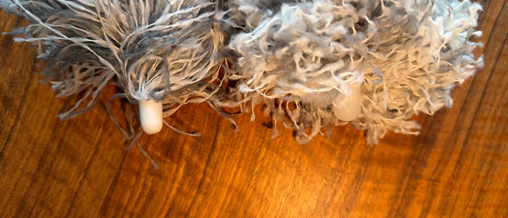 Zwei Spitzen vom Htly-SPR-Spinnwebenbesen.