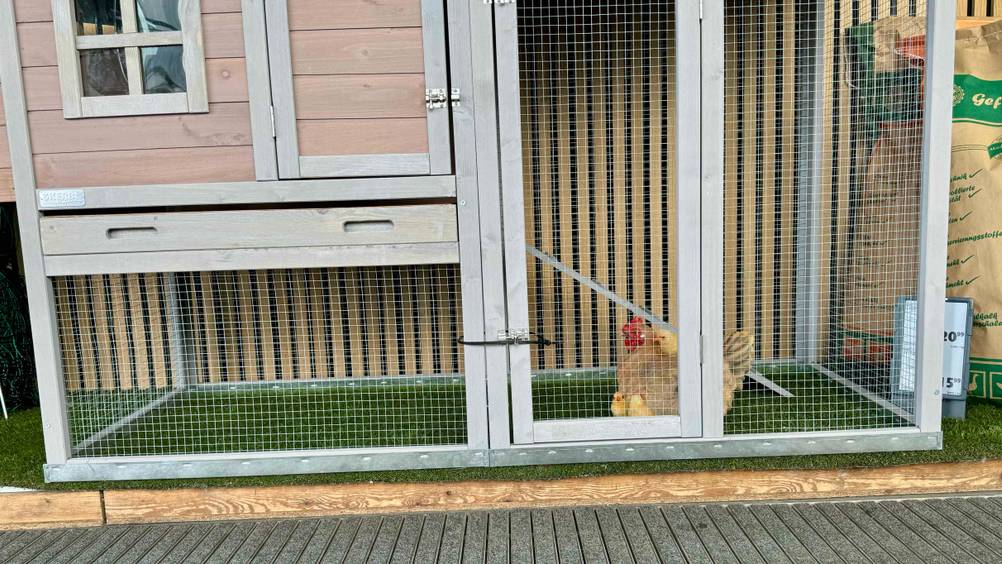 Nahaufnahme der Voliere des getesteten Hühnerstalls in einer Verkaufsfläche.